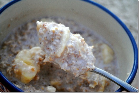 chia seeds 011