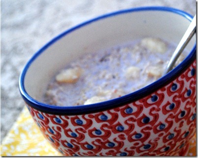 chia seeds 013