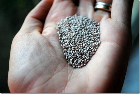 chia seeds 028