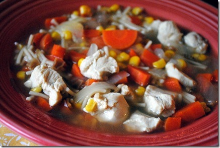 chicken noodle soup 006