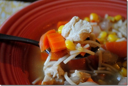chicken noodle soup 013