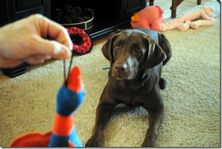 christmas 2011 013-1