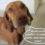 dog baking dog baking