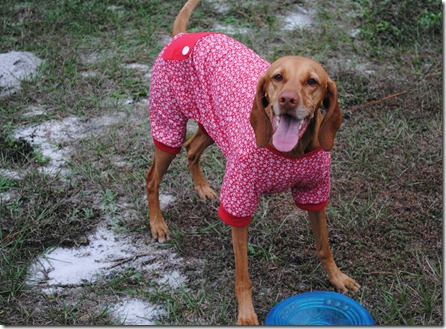 dog pajamas red 023