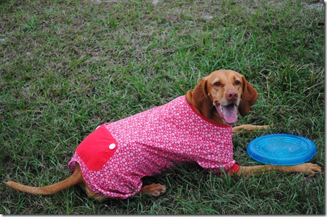 dog pajamas red 046