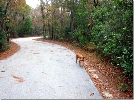 hiking 031