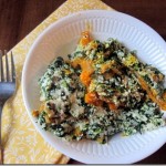 ocala christmas parade 033