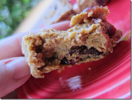 peanut butter protein bar
