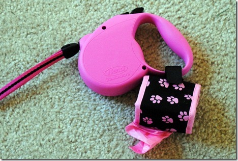 pink dog leash