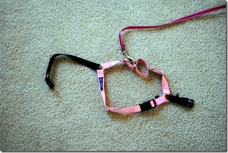 pink harness