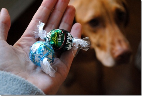 salad london broil 007