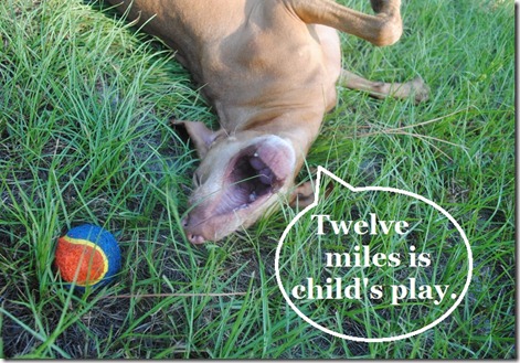child's play
