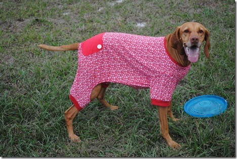 dog pajamas red 039
