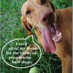 dog poop funny dog poop funny