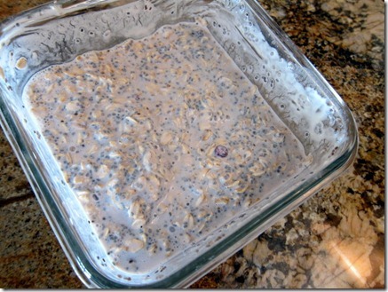 overnight oats blueberry oikos 005-1