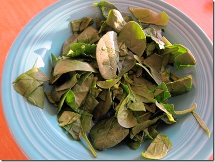 penne and shrimp 001-1