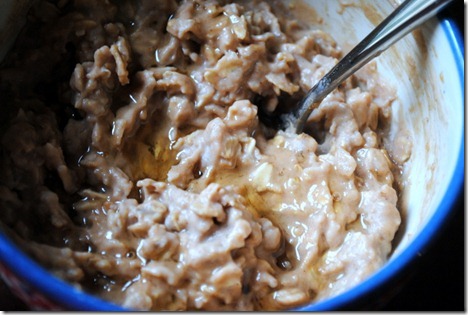 protein oatmeal 009