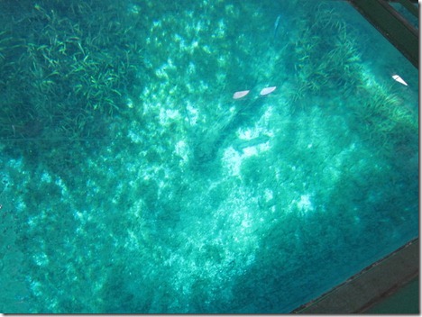 silver springs park 007