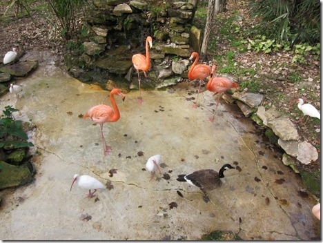 silver springs park 043