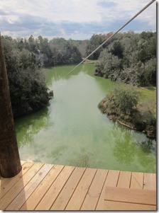 zip lining ocala 026