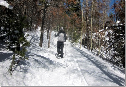 colorado 008-1