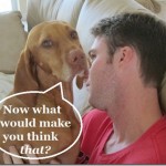 dog's favorite