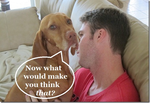 dog's favorite