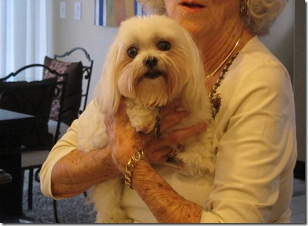 dottie maltese 006-1