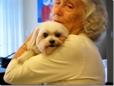 dottie maltese 009-1