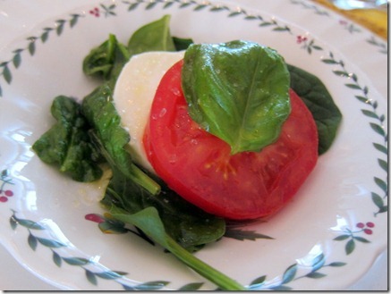 dottie maltese 011-1