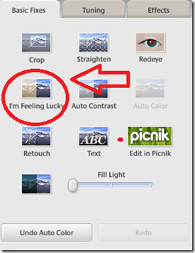 i'm feeling lucky picasa