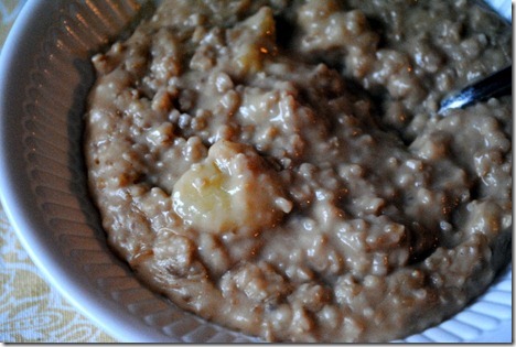 peanut butter banana oatmeal 034