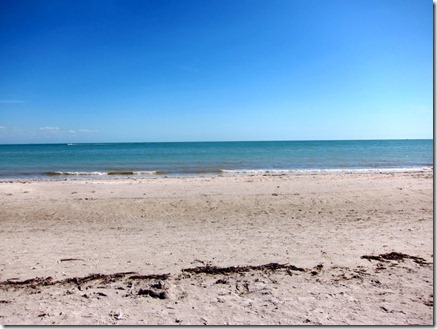 sanibel exploring 003-1