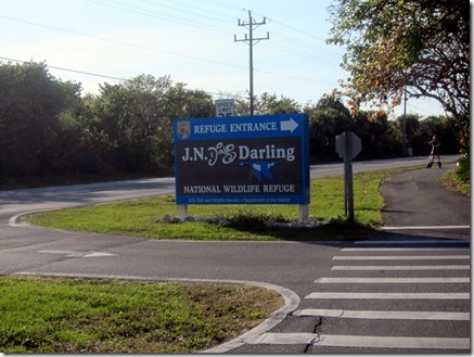 sanibel exploring 004-1