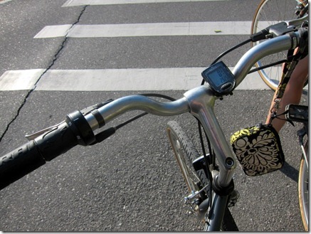 sanibel exploring 005-1