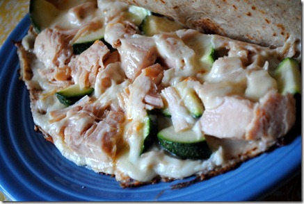 vizsla playing 010-1