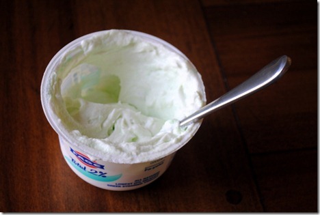 yogurt pudding 001