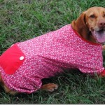dog pajamas red 046
