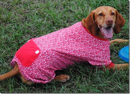 dog pajamas red 046