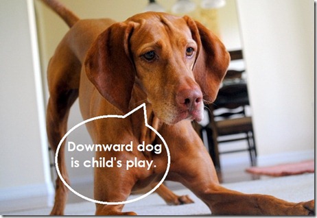 downward dog