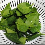 fresh spinach