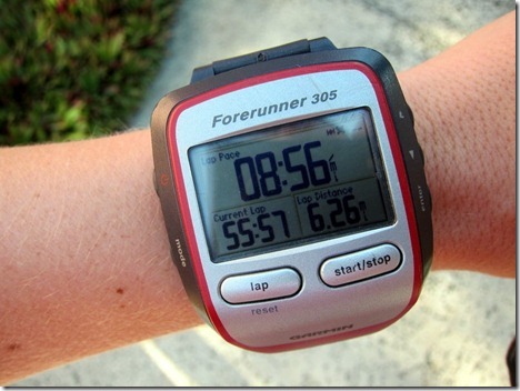 forerunner 305 bluetooth