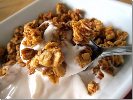 granola and greek yogurt