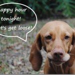 happy hour get loose (2) happy hour get loose (2)