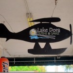 lake dora sushi lake dora sushi