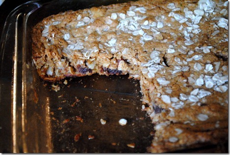oatmeal date almond bars 019