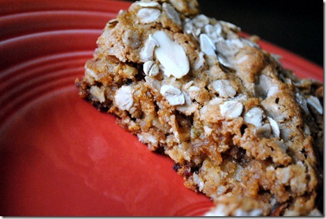 oatmeal date almond bars 029