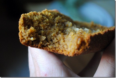 pumpkin banana loaf 030