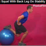 split squat stability ball