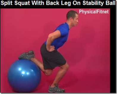 split squat stability ball
